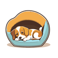 Pet Bedding