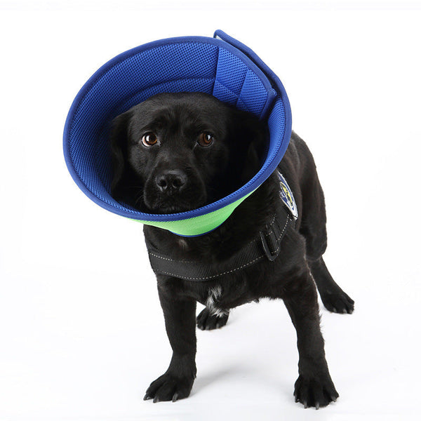 Dog Cat Anti-bite Collar Pet Medical Recovery Collars Transparent Pets Protection Cover Elizabethan Collar Circle For Pet Supplies Hanzuva