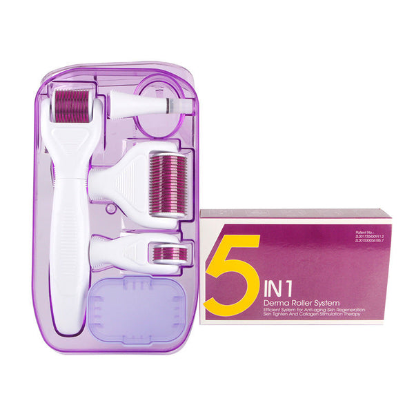 DermaKit™ 6-in-1 Derma Roller Kit Facial Microneedling Set Facial Skin Care Tools Gift Set Hanzuva