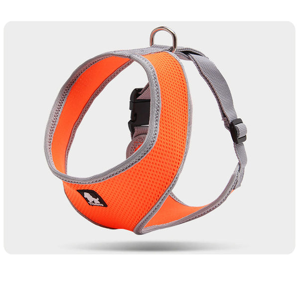 Towing rope for small dogs Hanzuva
