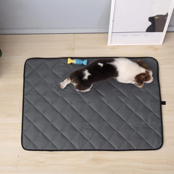 The pet mat Hanzuva