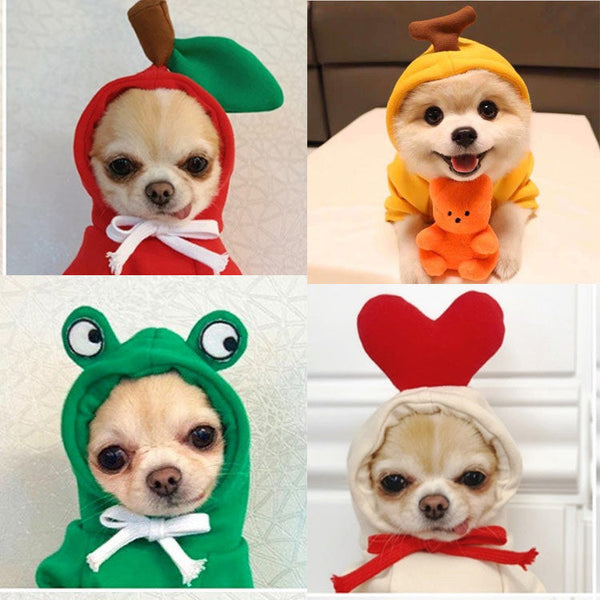 Fruit Dog Clothes Two-legged Hooded Outfits Green Fleece Clothing Autumn Winter Hoodies Hanzuva