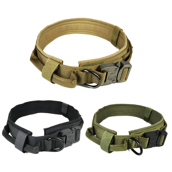 Dog collar Hanzuva