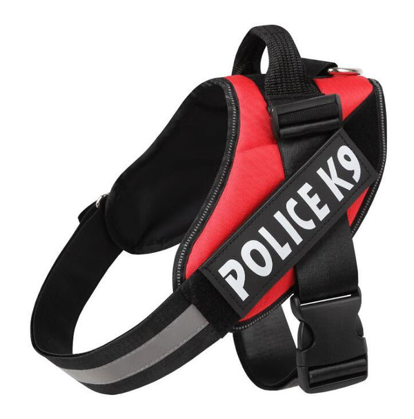 Dog leash Hanzuva