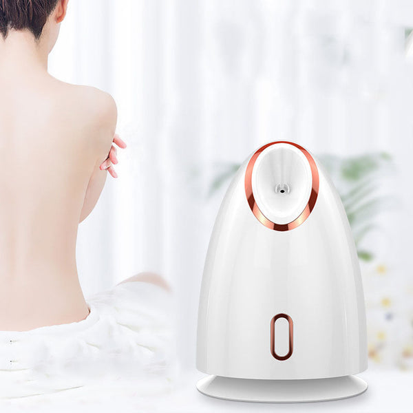 Nano Thermal Spray Moisturizing Face Steamer Hanzuva