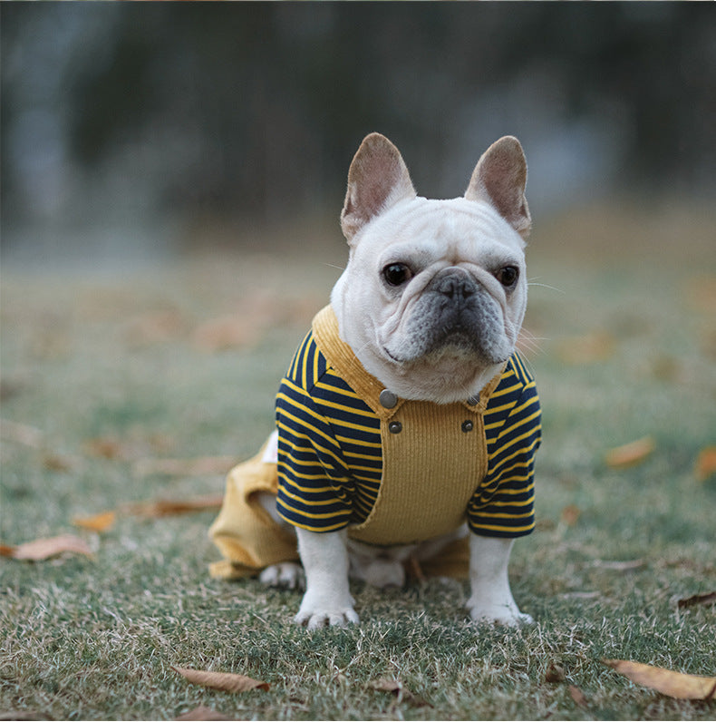 Cotton Stretch Corduroy Four-Legged Shirt