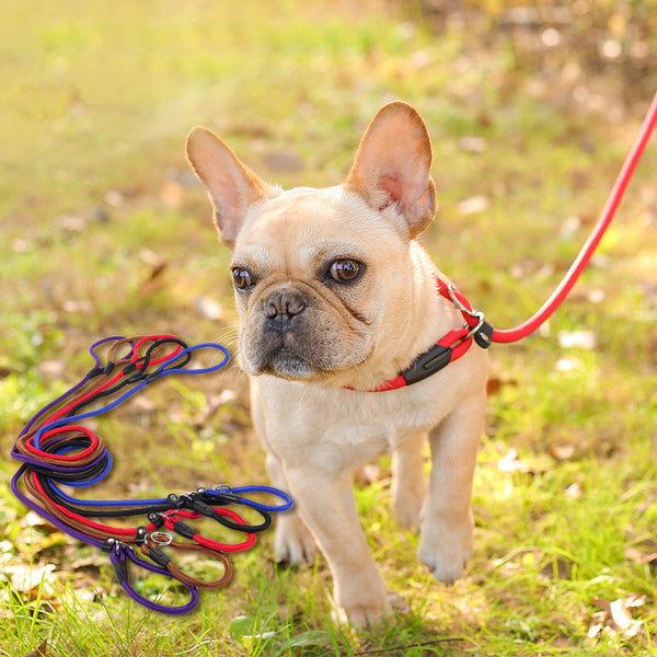 Dog leash dog leash pet leash Hanzuva
