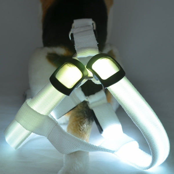 Dog Leashing Vest With Led Illuminated Chest Back Hanzuva