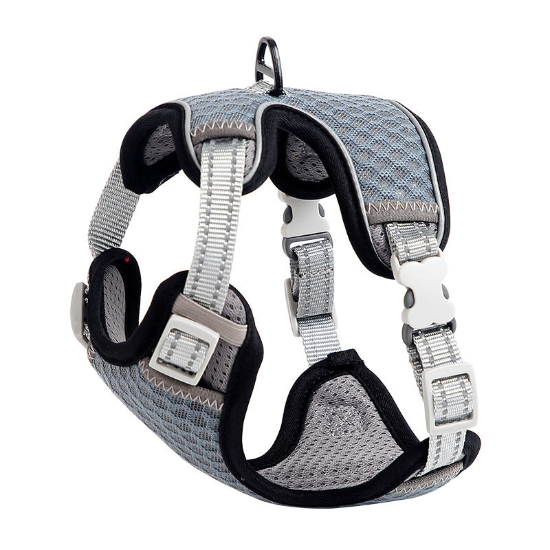Going Out For A Cat Walk, Pet Cat Chest Strap