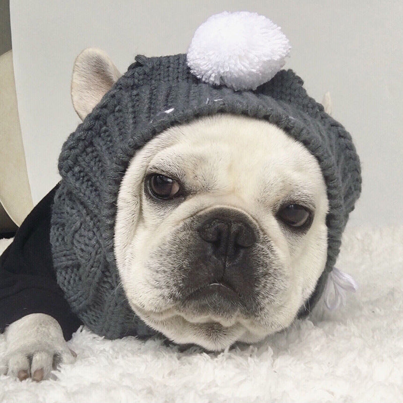 Anglo-FrenchBulldog Pug Funny Hat