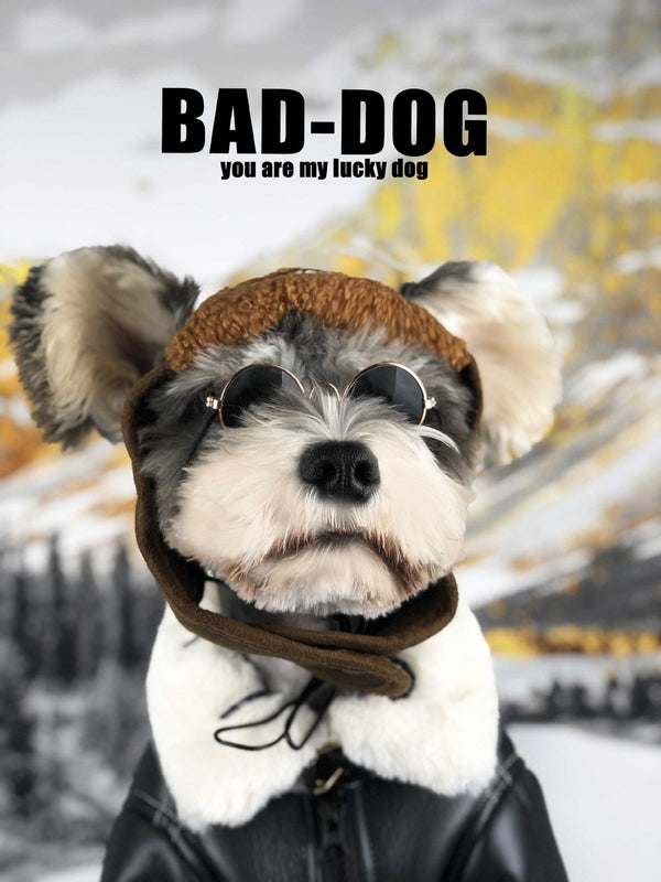 Dog Clothes Autumn And Winter Thickening Fashion Brand Fur Coat Hanzuva
