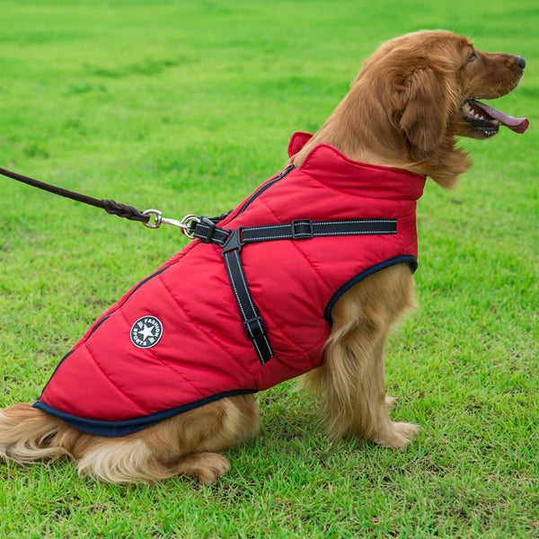 Dog Clothes Chest Back Integrated Cotton Vest Pet Cotton Clothes Winter Clothes Hanzuva