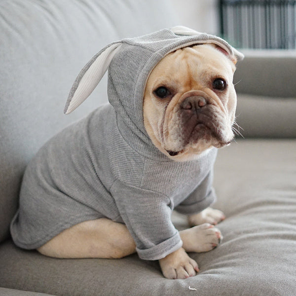 Dog Pet Clothes Spring And Autumn Clothing Hanzuva
