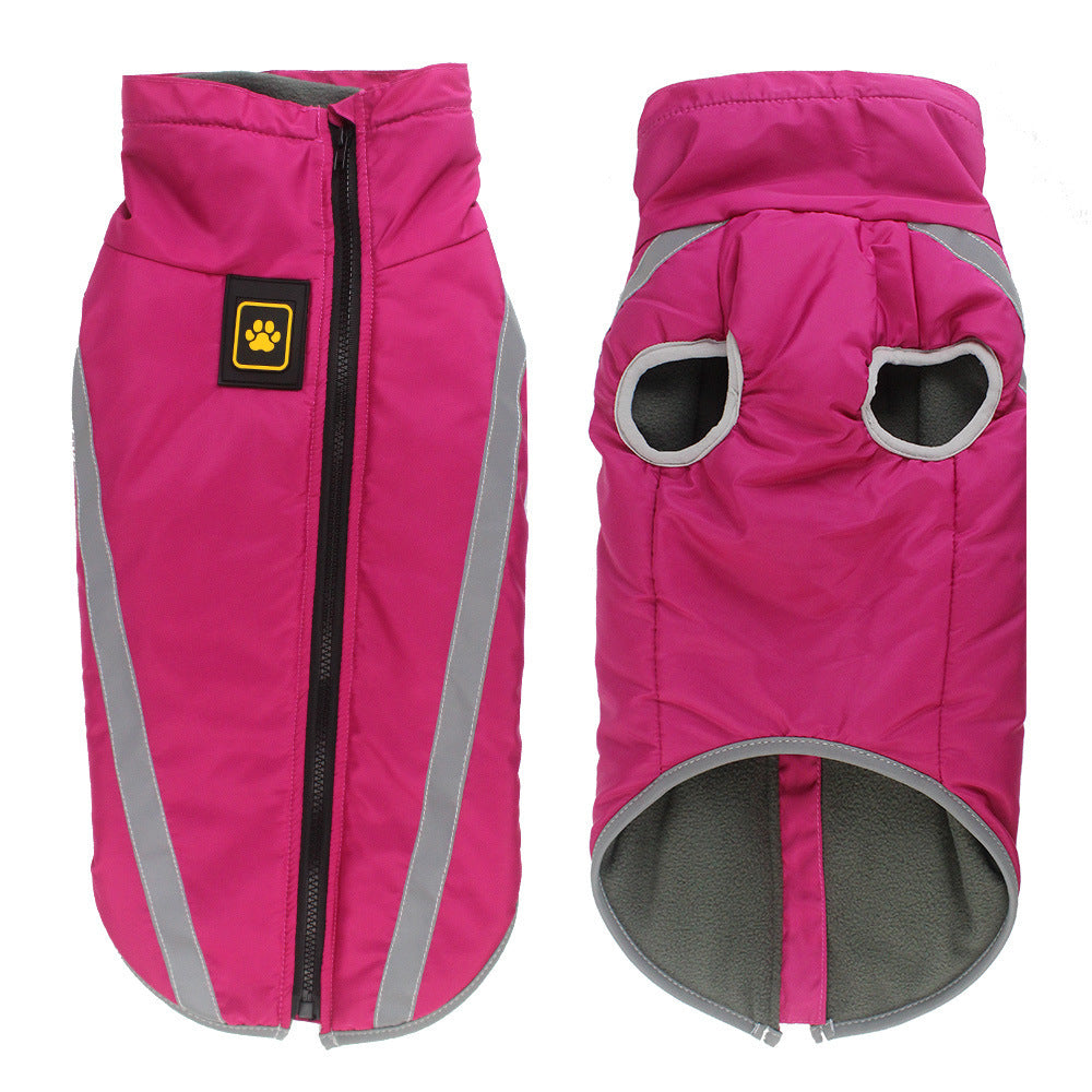 Dog clothes in autumn and winter