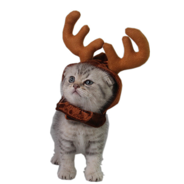 Teddy Dog Cat Antlers Hanzuva