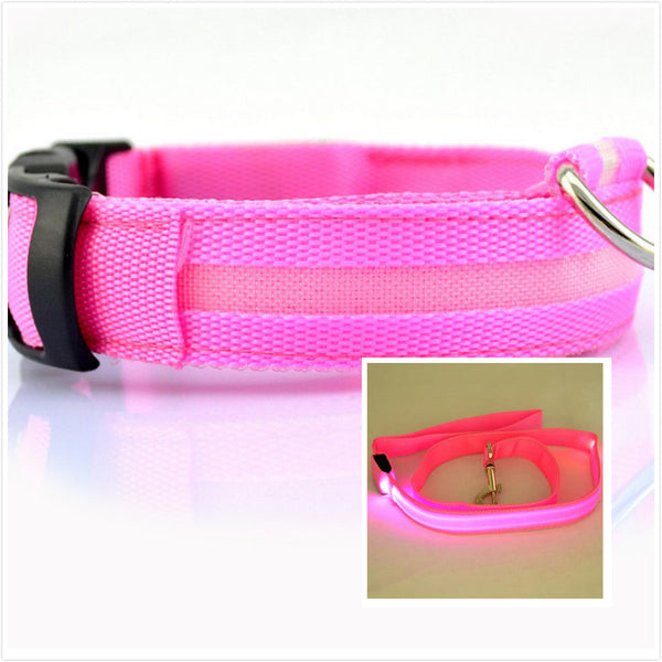 Dog LED luminous collar Hanzuva