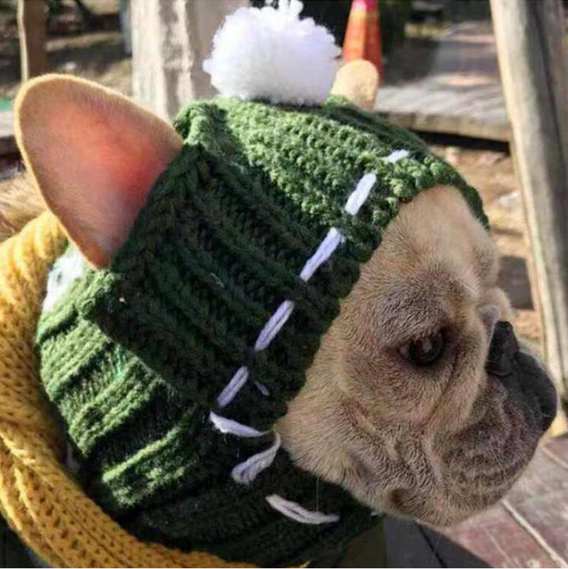 Anglo-FrenchBulldog Pug Funny Hat