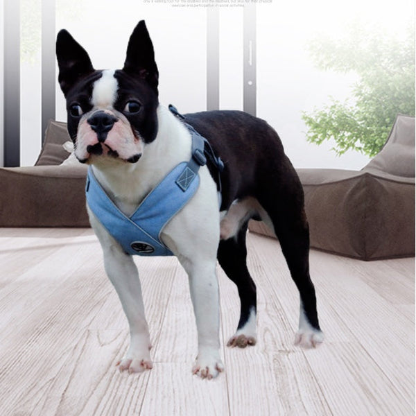Teddy breathable puppy chest strap Hanzuva