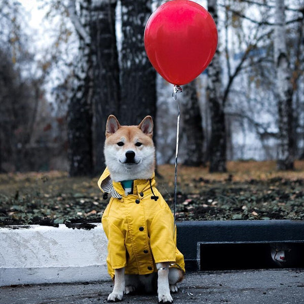 Dog Raincoat Pet Clothes Dog Clothes Rain Water Hanzuva