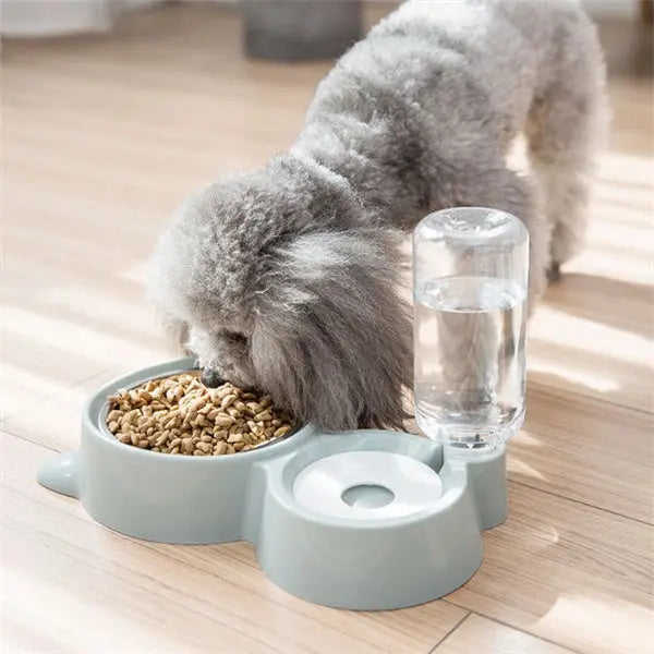 Dog bowl Hanzuva