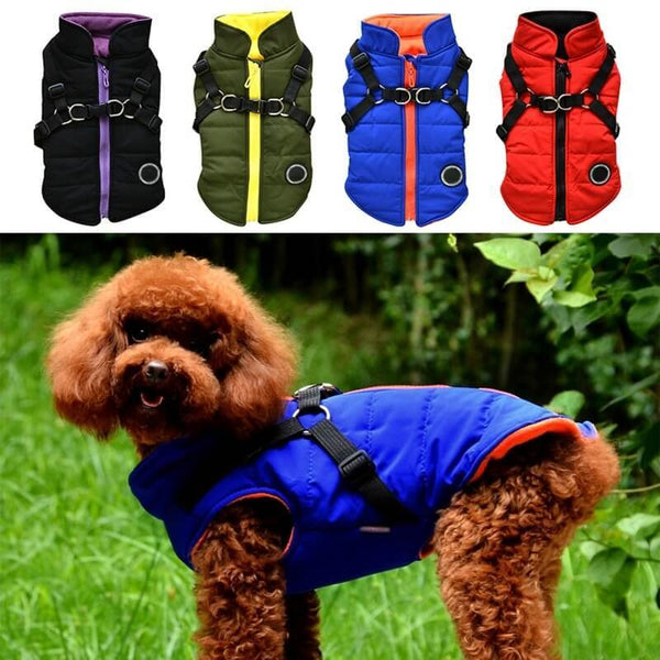 Dog zipper jacket Hanzuva