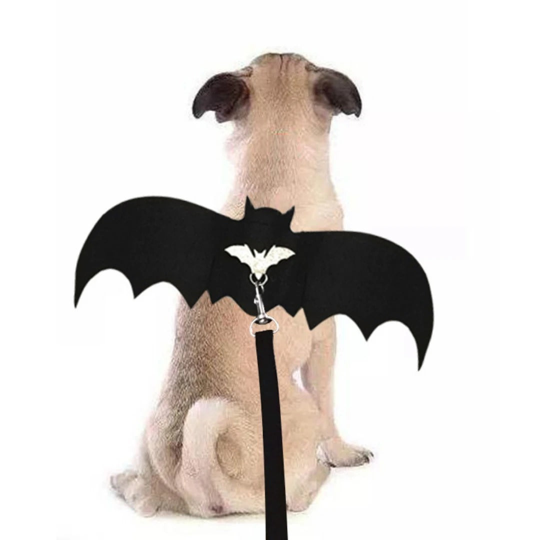 Halloween Bat wings for dog and cat