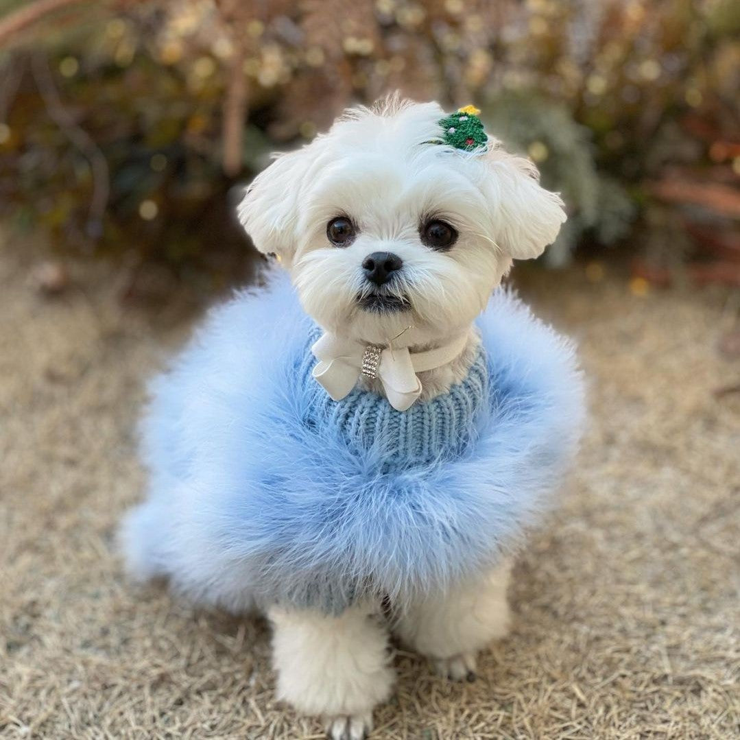 Lady Turkey Feather Warm Autumn And Winter Luxury Dog Sweater