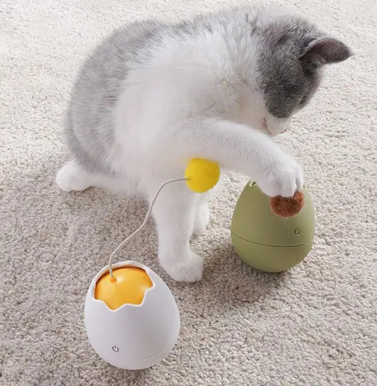 Funny cat artifact cat toys Hanzuva