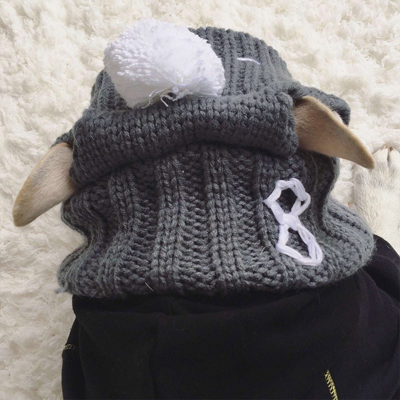 Anglo-FrenchBulldog Pug Funny Hat