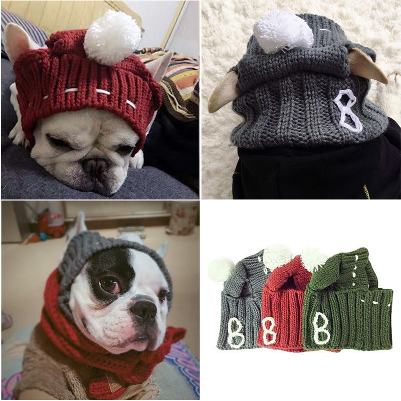 Anglo-FrenchBulldog Pug Funny Hat