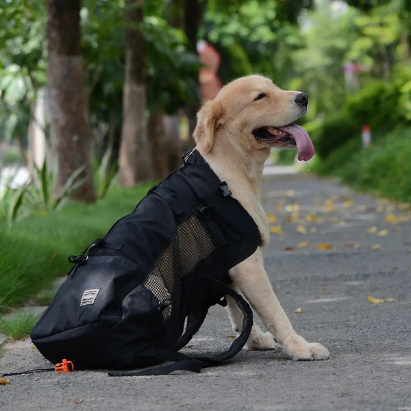 Ventilated And Breathable Pet Backpack - Hanzuva