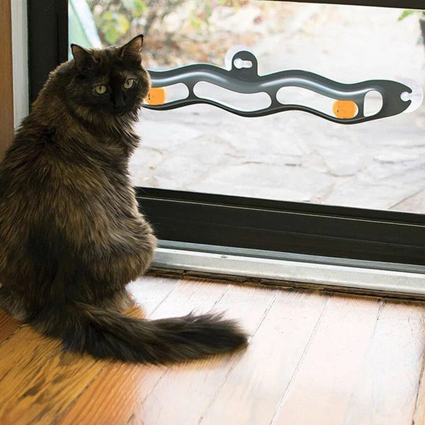 Windowsill Pets Toy Cat Track Ball Pet Products Hanzuva
