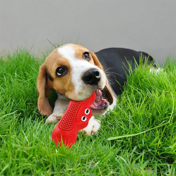 Vocal Rugby Pet Toys Natural Rubber Teething Toys Resistant Biting Teeth Chewing Dog Toys Hanzuva
