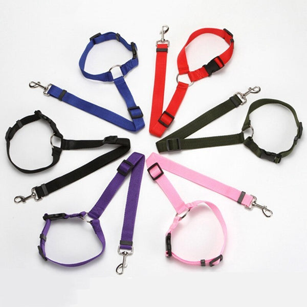 Explosive Pet Car Rear Seat Ring Safety Rope Hanzuva