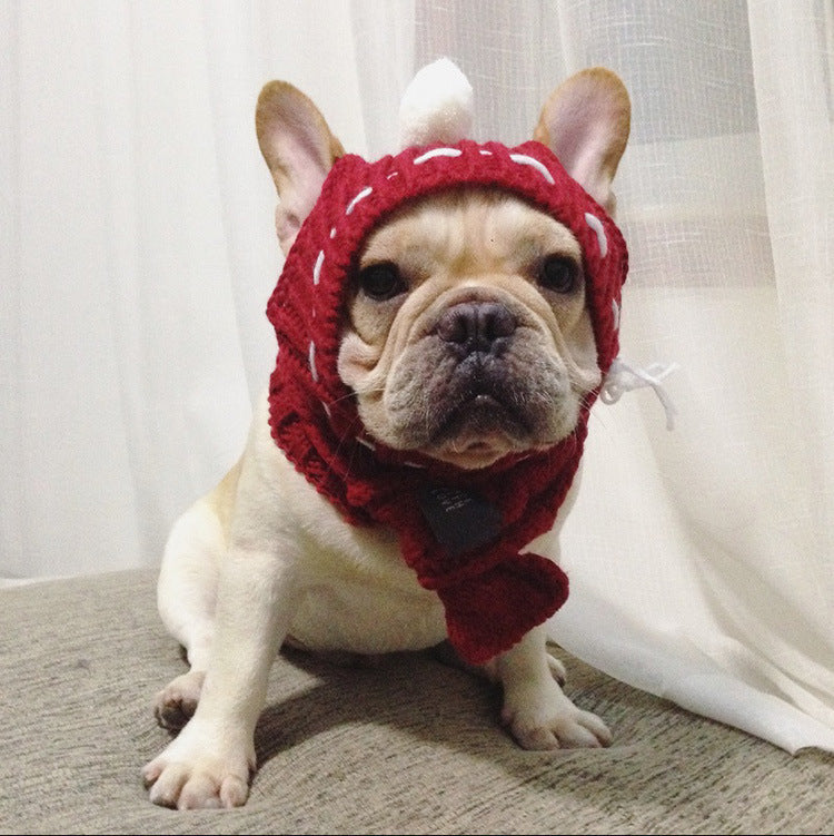 Anglo-FrenchBulldog Pug Funny Hat