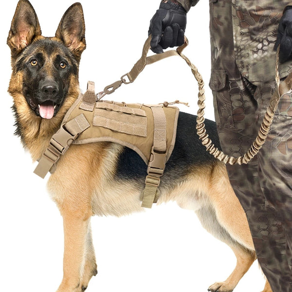 Elastic Buffer Of Outdoor Pet Traction Rope Hanzuva