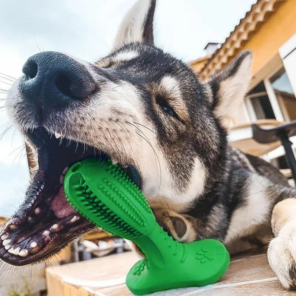 Dog Toothbrush Bite Resistant Molar Toy Hanzuva