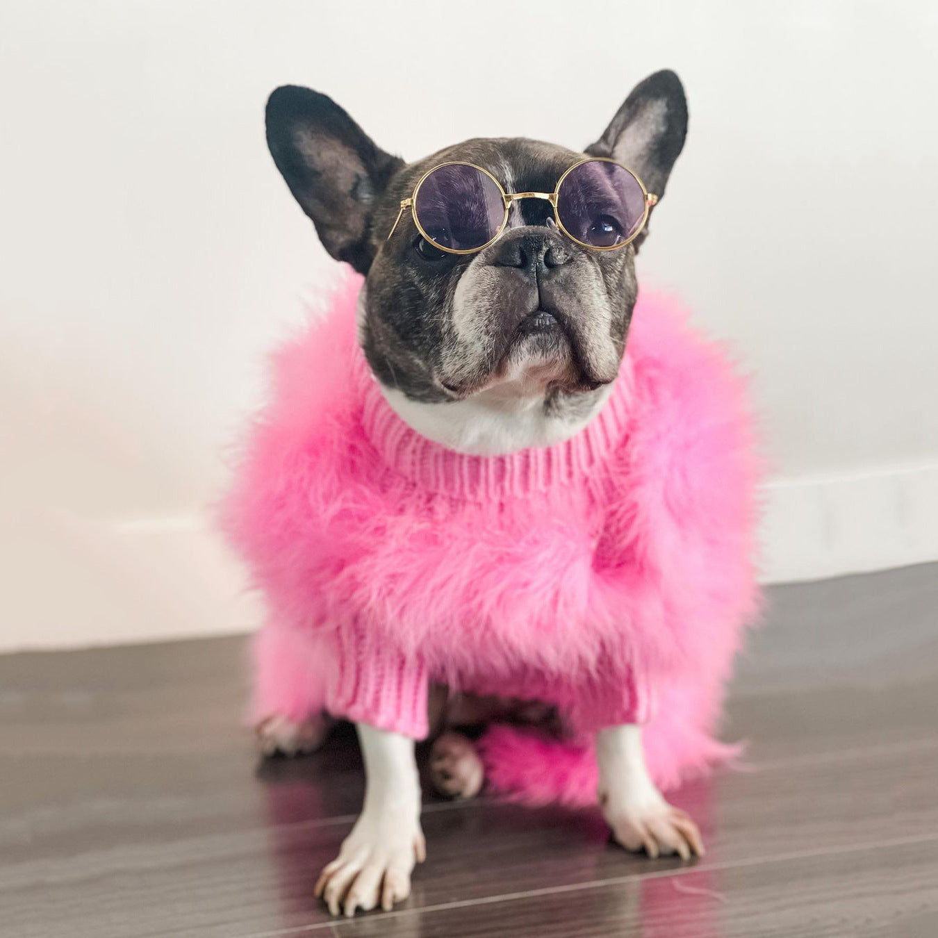 Lady Turkey Feather Warm Autumn And Winter Luxury Dog Sweater