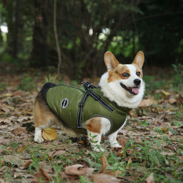 Fashion Personalized Warm Keeping Multicolor Pet Clothes Hanzuva