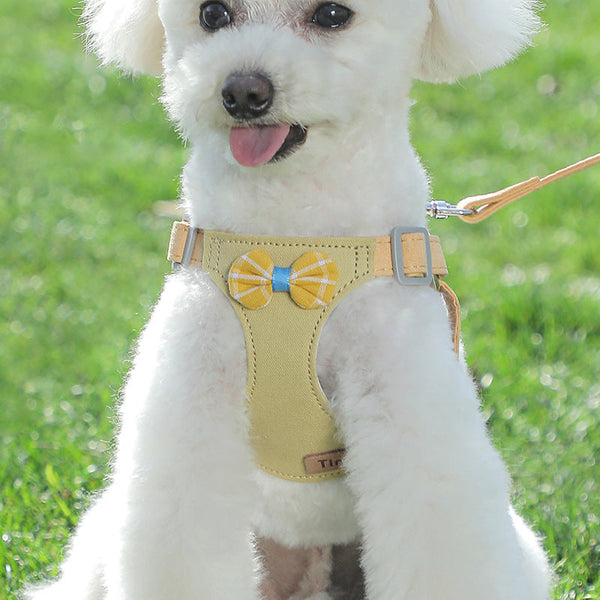 Dog Hand Holding Rope Vest Small Dog Hanzuva