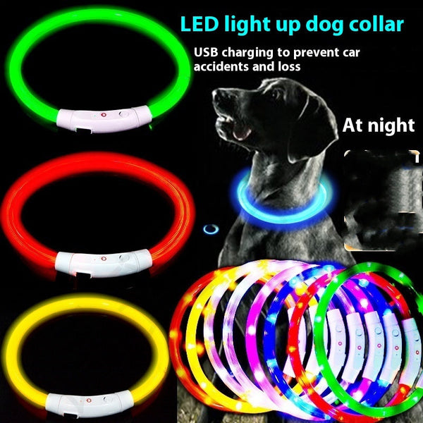 Glowing Pet Collar USB Charging LED Hanzuva