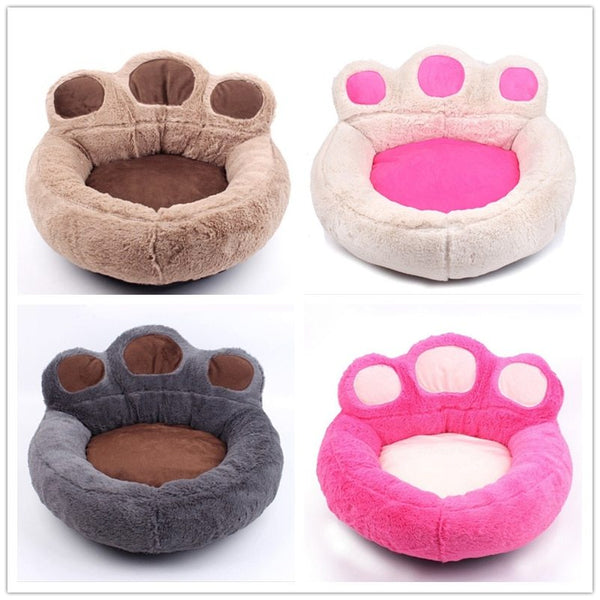 Teddy Pet Mat Hanzuva