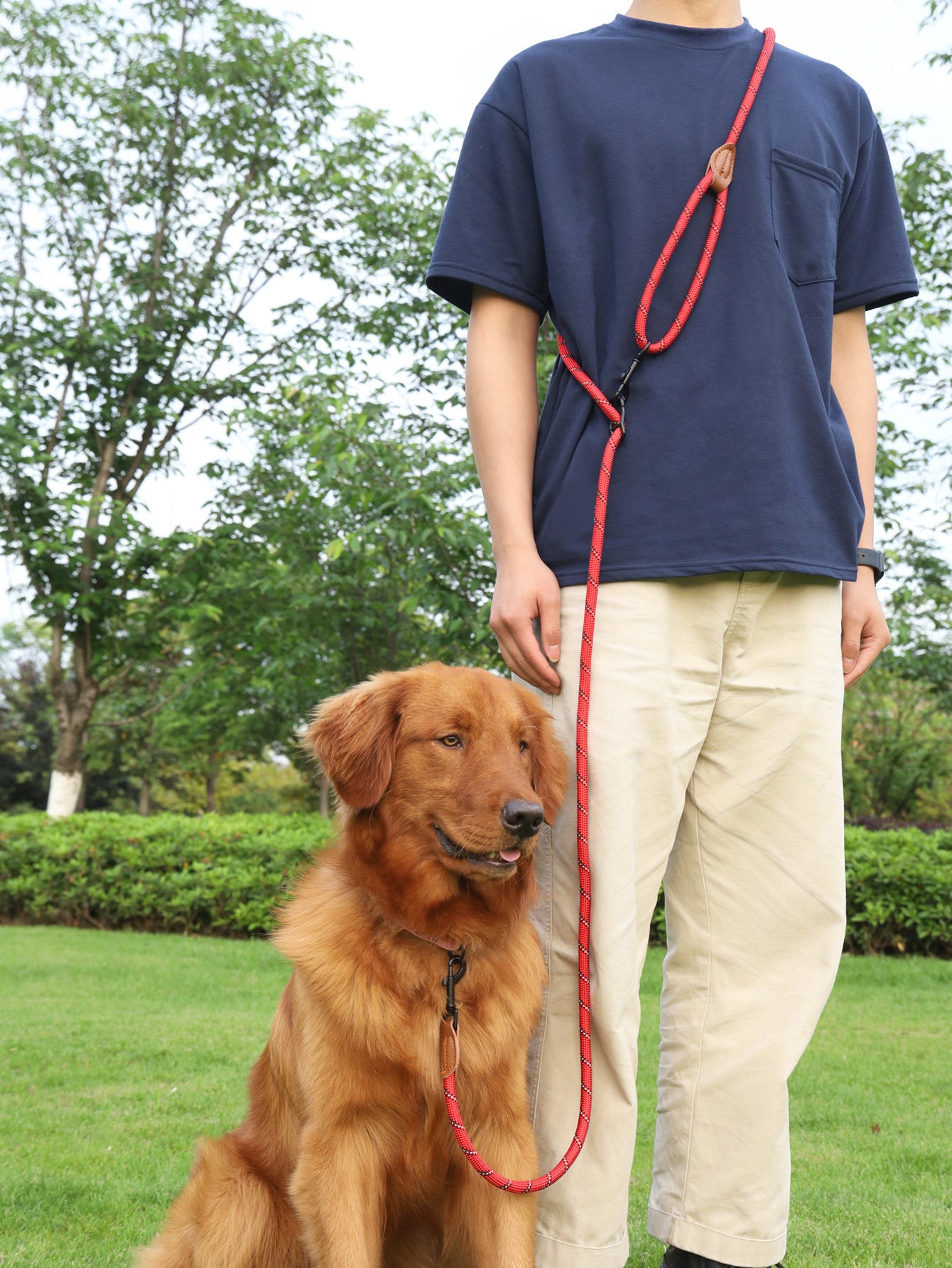 Pet Multifunctional Adjustable Reflective Hand Holding Rope