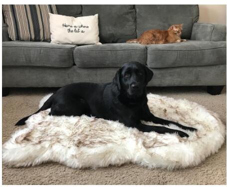Fluffy Long Plush Warm Pet Blanket Hanzuva