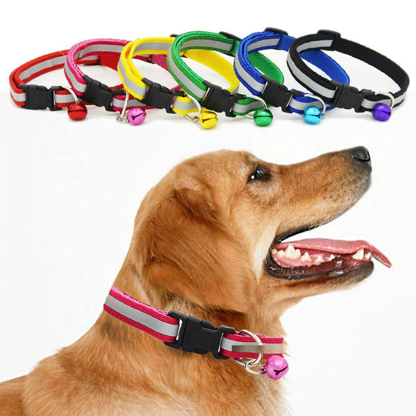 Fluorescent dog collar Hanzuva