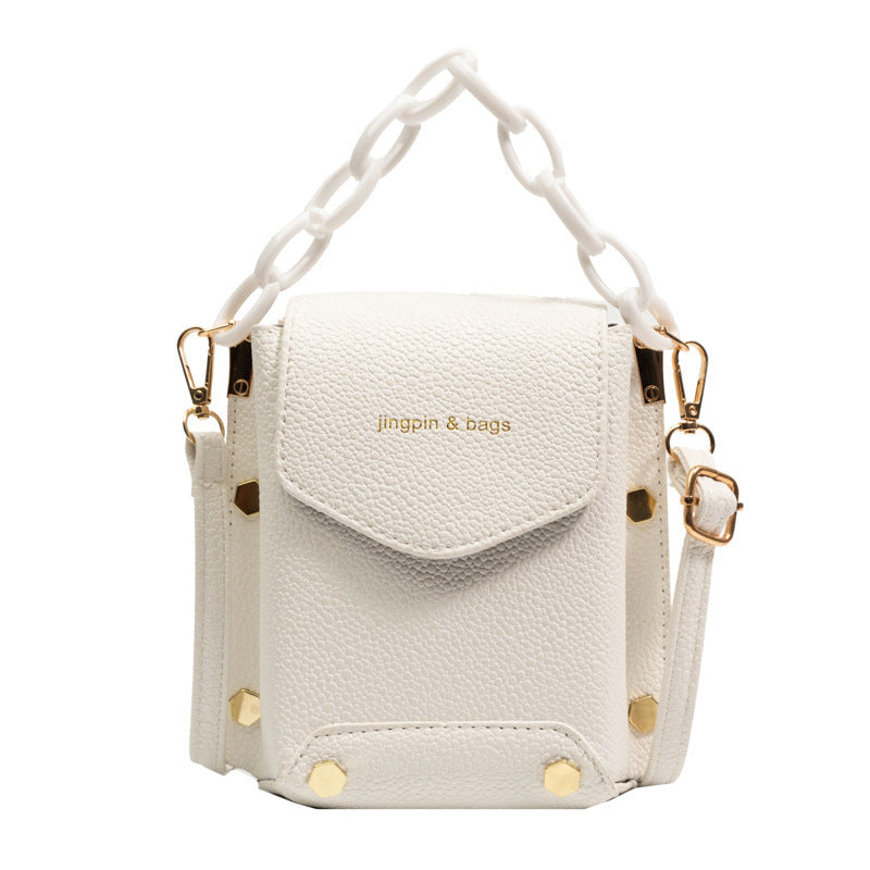 Trendy Acrylic Fashion Bag