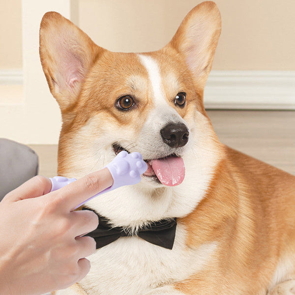 Dog Finger Toothbrush Small Dog Cleaning Hanzuva