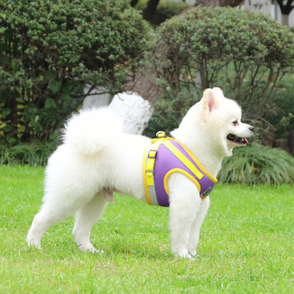 Vest Type Dog Leash Reflective Breathable Hanzuva