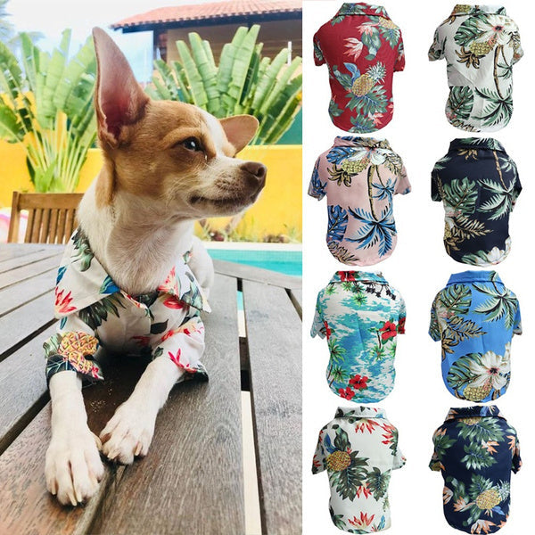 Dog Spring And Summer Thin Shirt Corgi Blue Cat Clothes Hanzuva