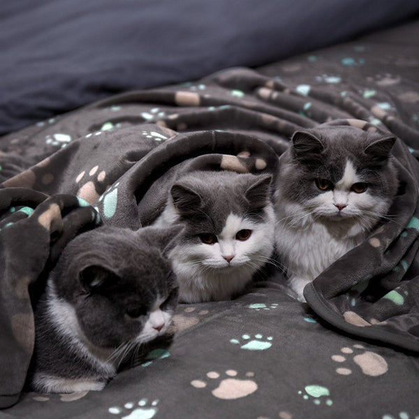 Dog And Cat Flannel Thickened Pet Blanket Hanzuva